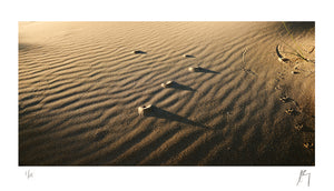 Antlions sand texture, Red bluff, western Australia | Fine art photographic print by Chad Henning