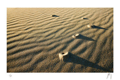 Antlions sand texture, Red bluff, western Australia | Fine art photographic print by Chad Henning