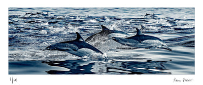 dolphins jumping swimming surfing seascape panoramic | Fine Art photographic print by Alain Proust