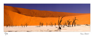 Orange sand dunes, death valley, dead trees in the desert, contrast colours of the namibia desert, sossusvlei | Fine art photo print by Alain Proust