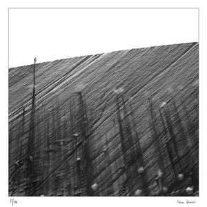 Dunes of Sossusvlei Namibie desert | Fine art photographic print by Alain Proust