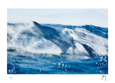 Common Dolphins hunting in False Bay, Western Cape South Africa Slow motion blur | Fine art photographic print by Chad henning